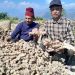माटो चिनेर कर्म गरे खुशी पाइने