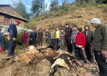 बाख्रा गोठमा आगलागी, लाखौंको क्षति