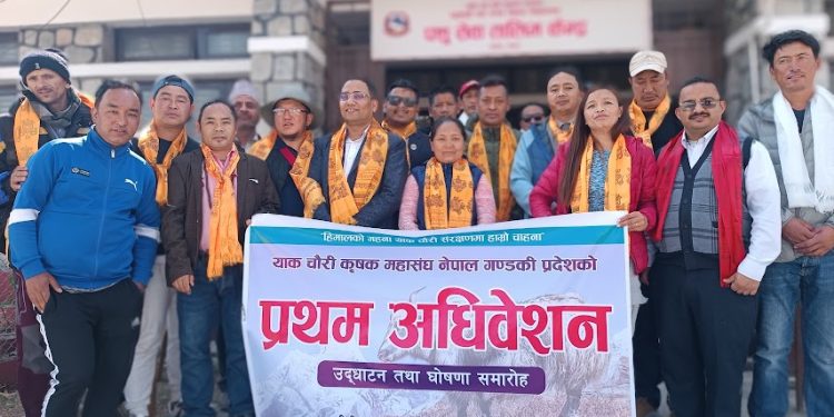 गण्डकी प्रदेशका चौरीपालक किसानहरु संगठीत