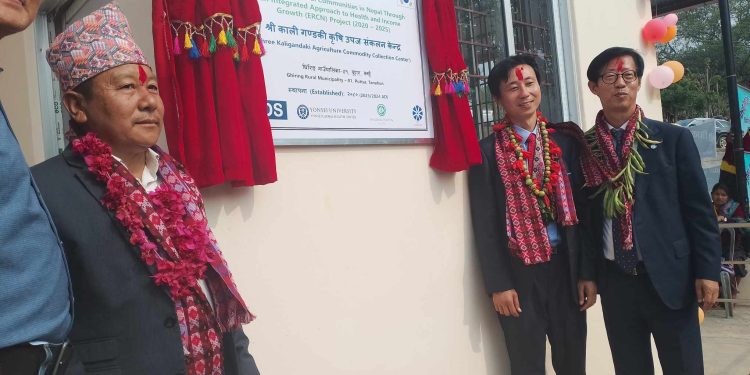 घिरिङको पुट्टारमा पनि कृषि उपज संकलन केन्द्र