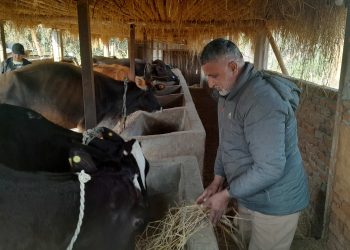 परदेशबाट फर्केर कृषिमा रमाउने शालिकरामको प्रयास