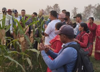 खडेरीमा अमेरीकी फौजीकिराको प्रकोप 