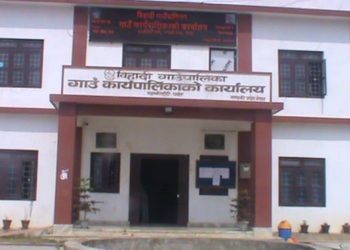 झाडी फँडानीले बाँदर आतंक घटेको दाबी