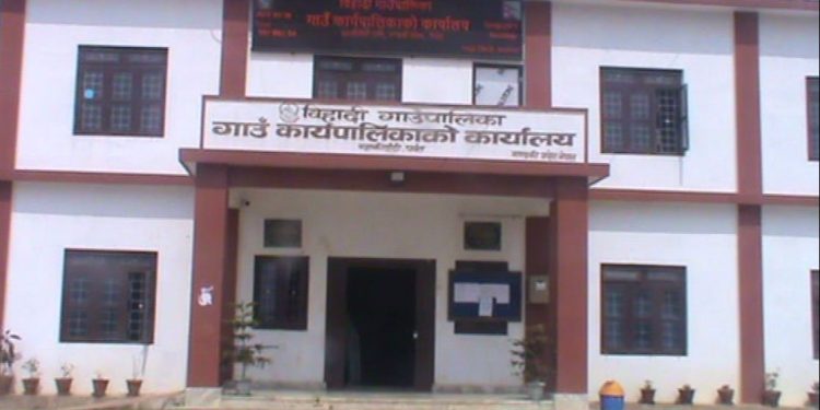 झाडी फँडानीले बाँदर आतंक घटेको दाबी