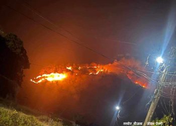 बढदो डढेलोको प्रकोप नियन्त्रणका उपायहरु