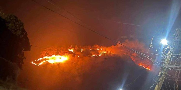 बढदो डढेलोको प्रकोप नियन्त्रणका उपायहरु