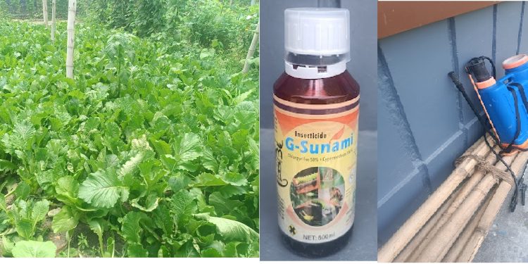 उपभोक्ताहरु होसीयार : हरीयो सागमा अत्याधिक विषादी भेटियो