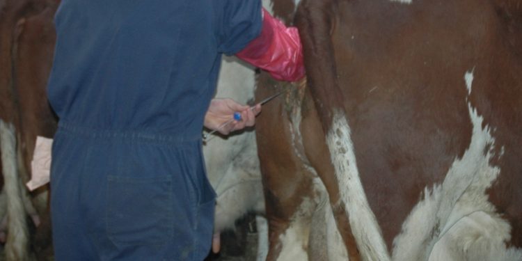 कृतिम गर्भाधानमा मनोमानी अशुल्दै