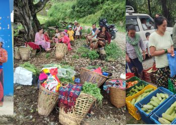 कृषि एम्बुलेन्सको पर्खाइमा किसान देखि उपभोक्तासम्म