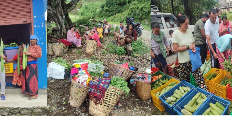 कृषि एम्बुलेन्सको पर्खाइमा किसान देखि उपभोक्तासम्म