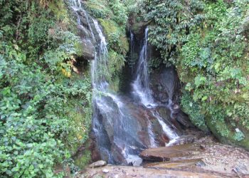 जलाधार व्यवस्थापनका लागि पारिस्थितिकीय सेवा शुल्क भुक्तानी संयन्त्र खाँचो
