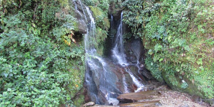 जलाधार व्यवस्थापनका लागि पारिस्थितिकीय सेवा शुल्क भुक्तानी संयन्त्र खाँचो