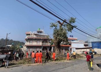 चौतारीका बरपीपल मुठारिएकोमा चौतर्फ विरोध