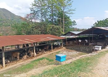 पशुमा पूर्णखोप दिगो राख्न एकिकृत पशु स्वास्थ्य नीति खाँचो