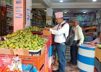 विषादी यकीन गरेर मात्र फलफुल किन्न सुझाव