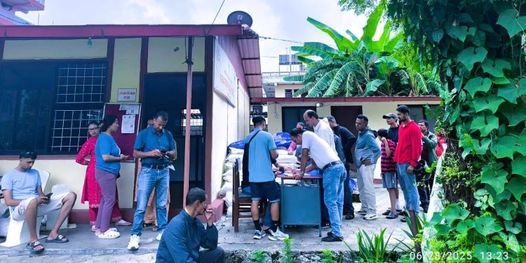 फूलको खेतीमा नगरको सहयोग : दीगो विकास वा लोकप्रियताका लागि ?