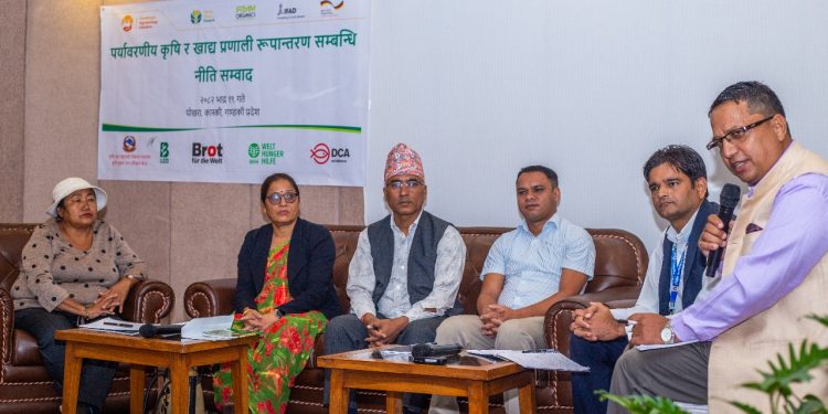 ‘पढेकाले हलो र थलो विर्सीए’