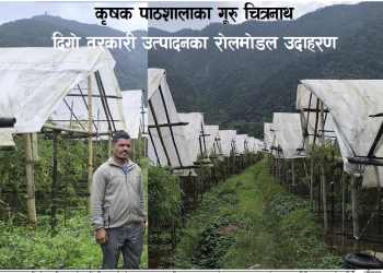 कृृषक पाठशालाका गूरुको तरकारी उत्पादनका रोलमोडल उदाहरण