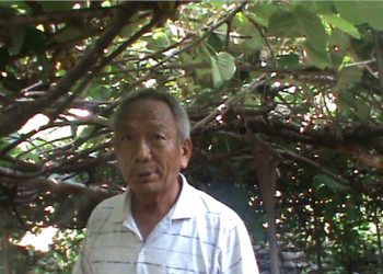 कोदो छाडेर किवि खेती गर्दै दुर्लुङका खेम गुरुङ