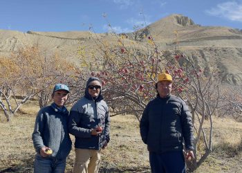 जलवायु परिवर्तनको चापले मार्फाली बागवानी उपल्लो मुस्ताङ्ग जाँदै