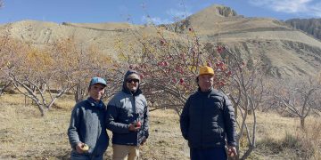 जलवायु परिवर्तनको चापले मार्फाली बागवानी उपल्लो मुस्ताङ्ग जाँदै