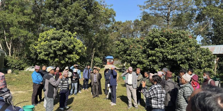 कफी खेतिमा बायो–डाइनामिक प्रविधिको चासो