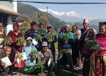 गोरु पाल्नेलाई तरकारी बीउ कोशेली 