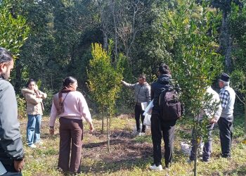 किसानकै बारीमा सुन्तला बगैचा सुधार पाठशाला