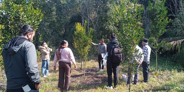 किसानकै बारीमा सुन्तला बगैचा सुधार पाठशाला