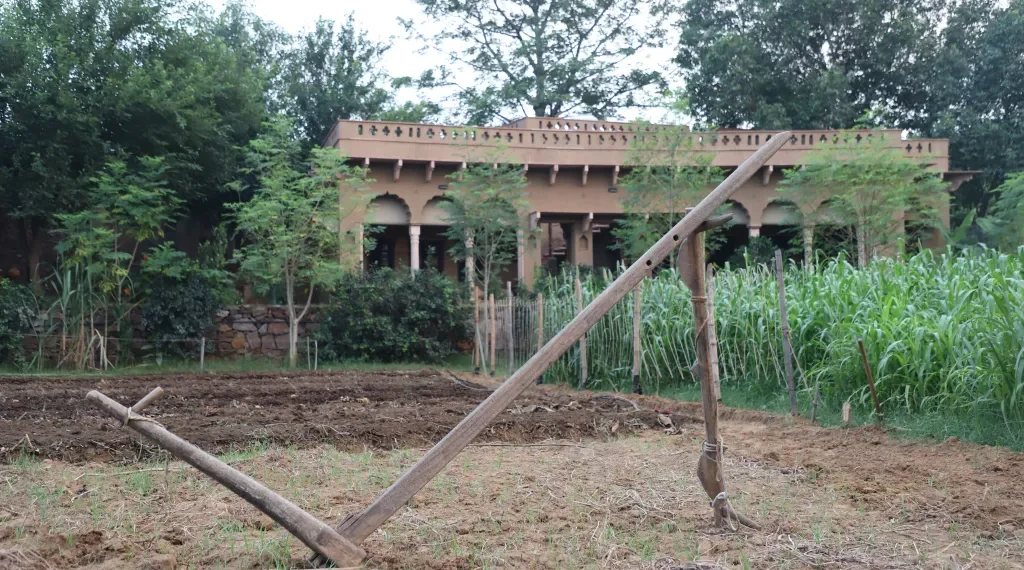नेपालमा ऋषि कृषिको संभावना र चुनौती