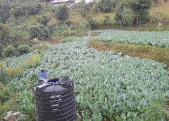 खरिद दररेट नमिलेको कृषि आयोजनाका किसानको गुनासो 